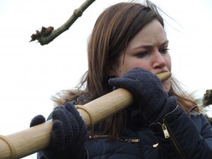 Afbeelding invoegen